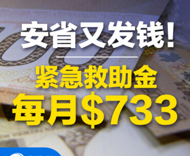 #加拿大福利 #救助金 #加拿大疫情 #2020最新 #多咨处