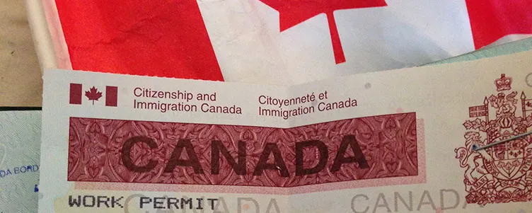 加拿大移民科普贴！疫情之下如何保持合法的移民身份？| 多咨处